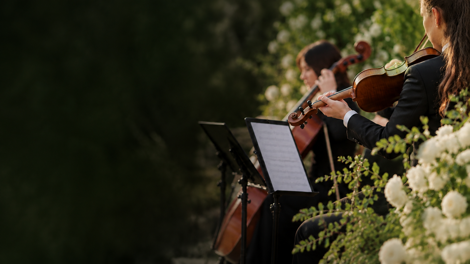 Músicos de cuerda de Boreal Music interpretando durante una celebración