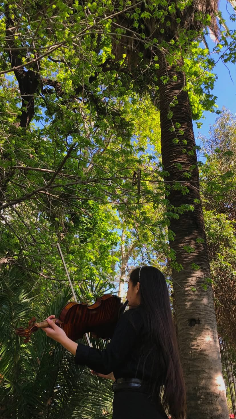 Violinista de Boreal Music interpretando al aire libre