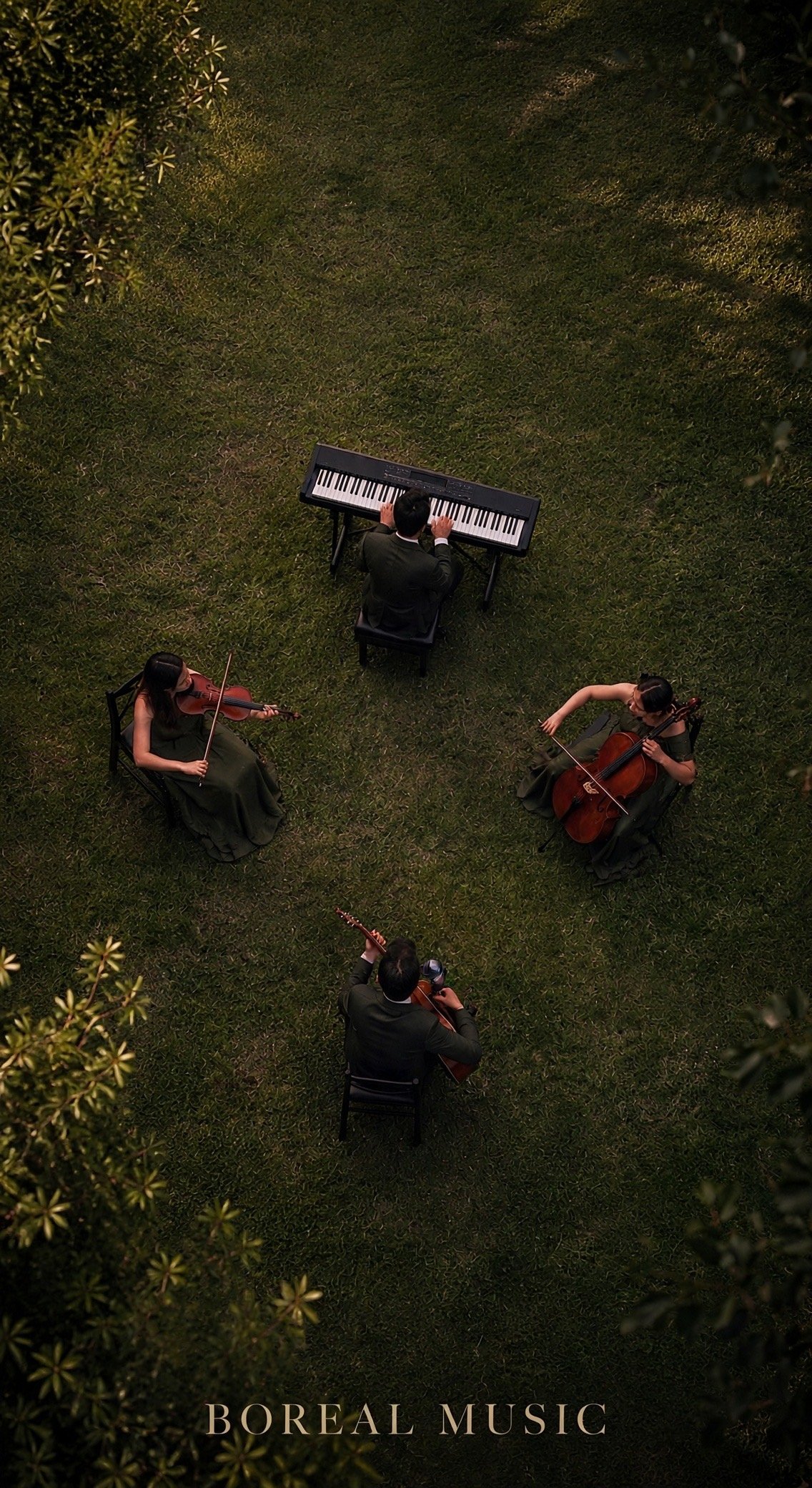 Ensamble de Boreal Music interpretando música en un entorno natural